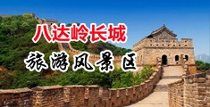 骚屄视频网站中国北京-八达岭长城旅游风景区