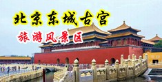 免费日bb视频中国北京-东城古宫旅游风景区